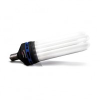 FLORASTAR CFL 200W - Croissance / 6400K