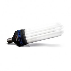FLORASTAR CFL 200W - Croissance / 6400K