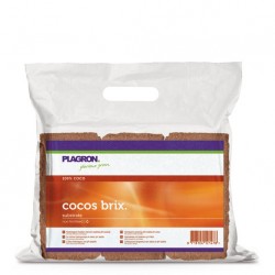 PLAGRON BRIQUE COCO - 6 PIECES
