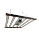 FLORASTAR LED - GTA 2.8 - 680W